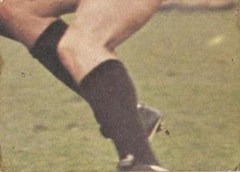 1973 Scanlens VFL #29 David Rhodes Back